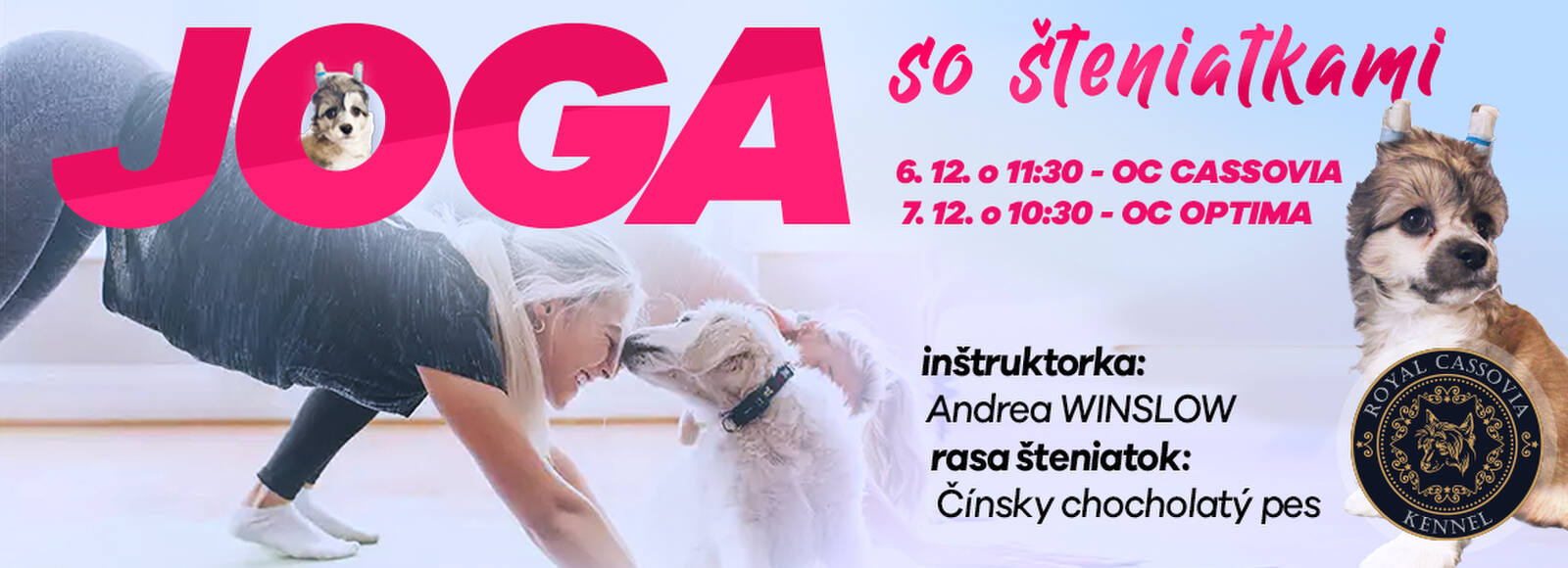 Joga so šteniatkami